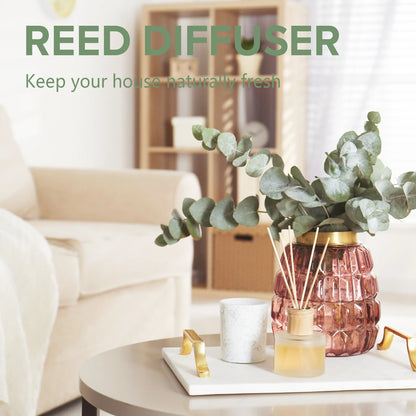 Huile Essentielle Naturelle PHATOIL 10 ml – Pour Diffuseur & Aromathérapie