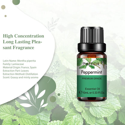 Huile Essentielle Naturelle PHATOIL 10 ml – Pour Diffuseur & Aromathérapie